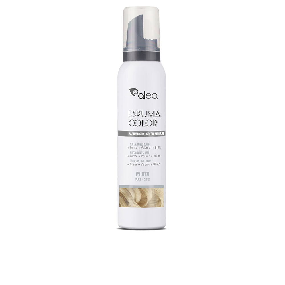 COLOR FOAM #silver 200 ml