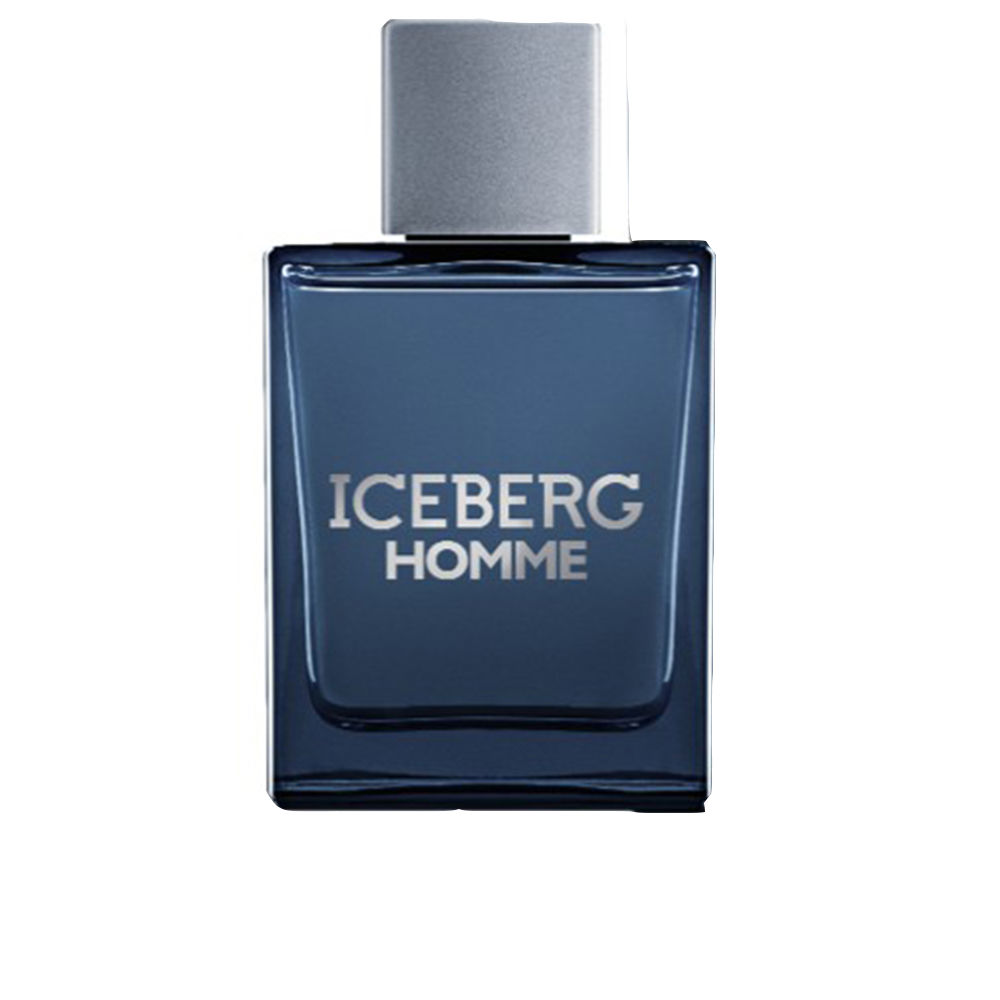ICEBERG HOMME edt vapor 100 ml
